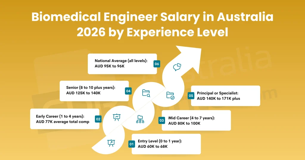 biomedical engineer salary in australia 2026 by experience level entry mid career senior national averagebiomedical engineer salary in australia 2026 by experience level entry mid career senior national average